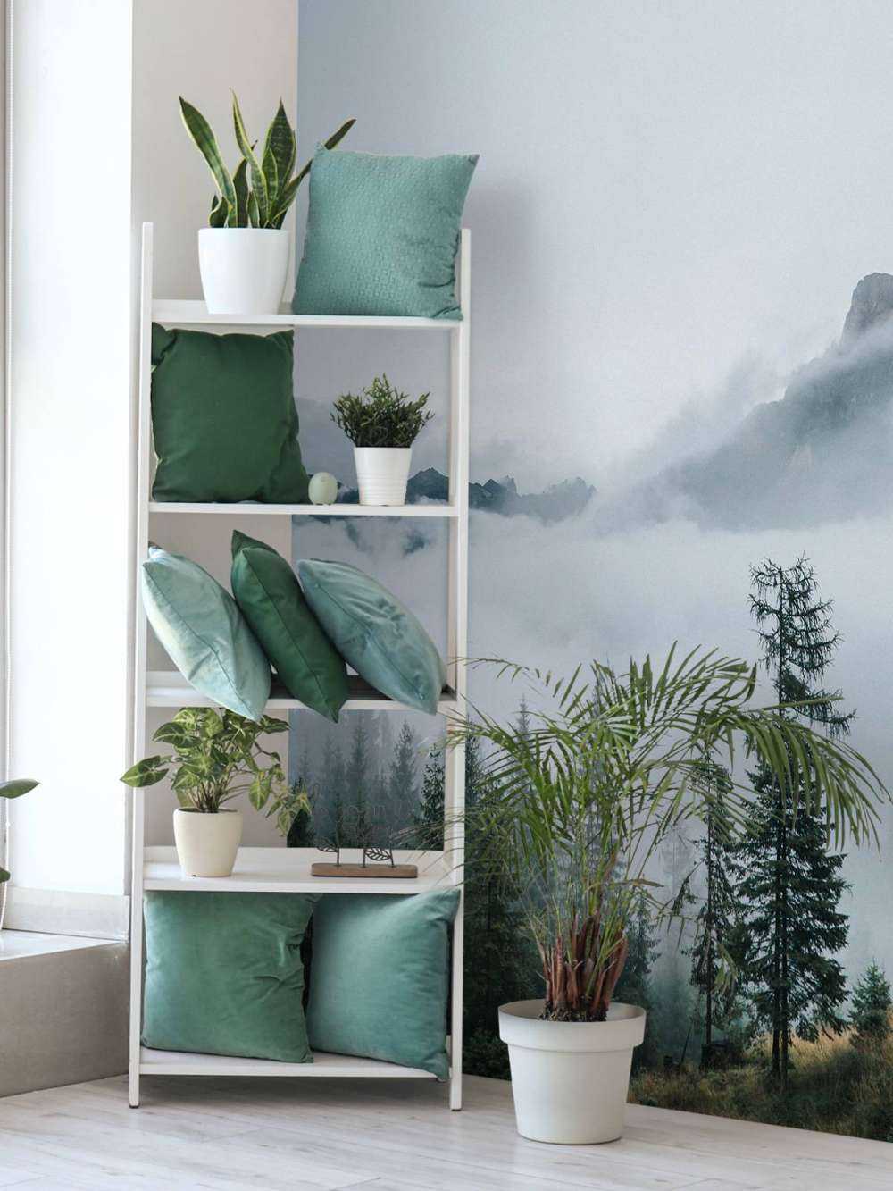 Ochtendmist over het Woud