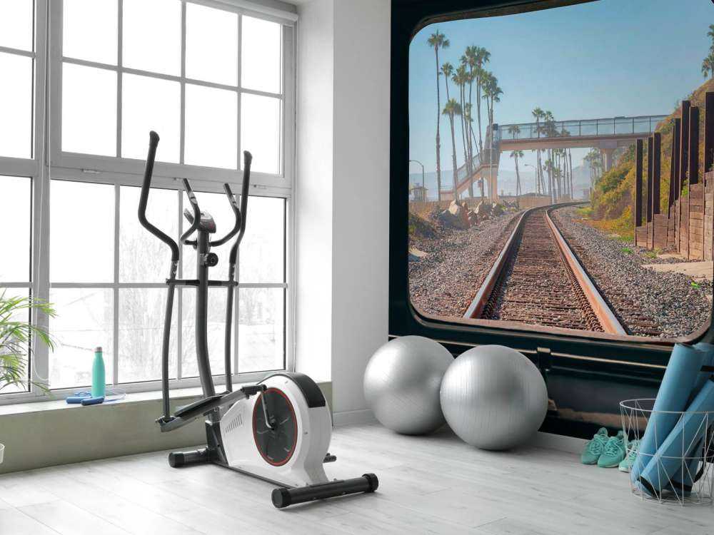 Spoorlijn langs palmenkust