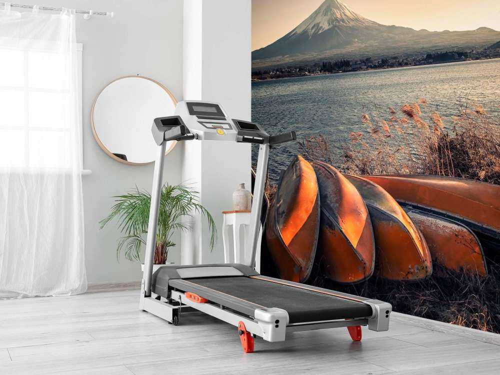 Rustige oever aan Fuji meer