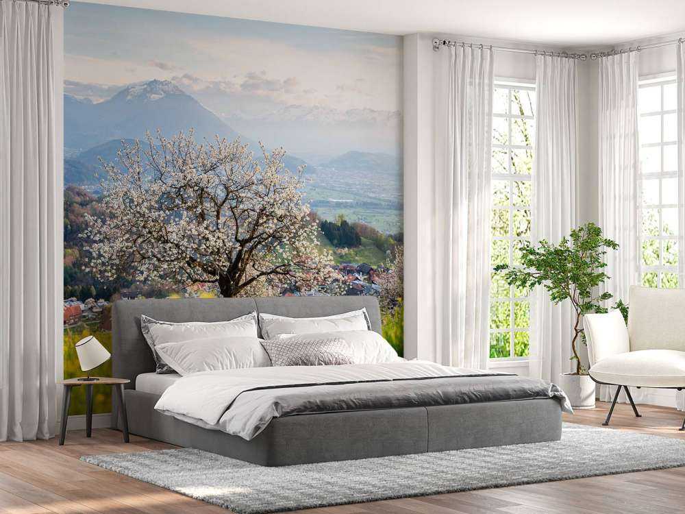 Bloesemboom in bergdal bij lentezon