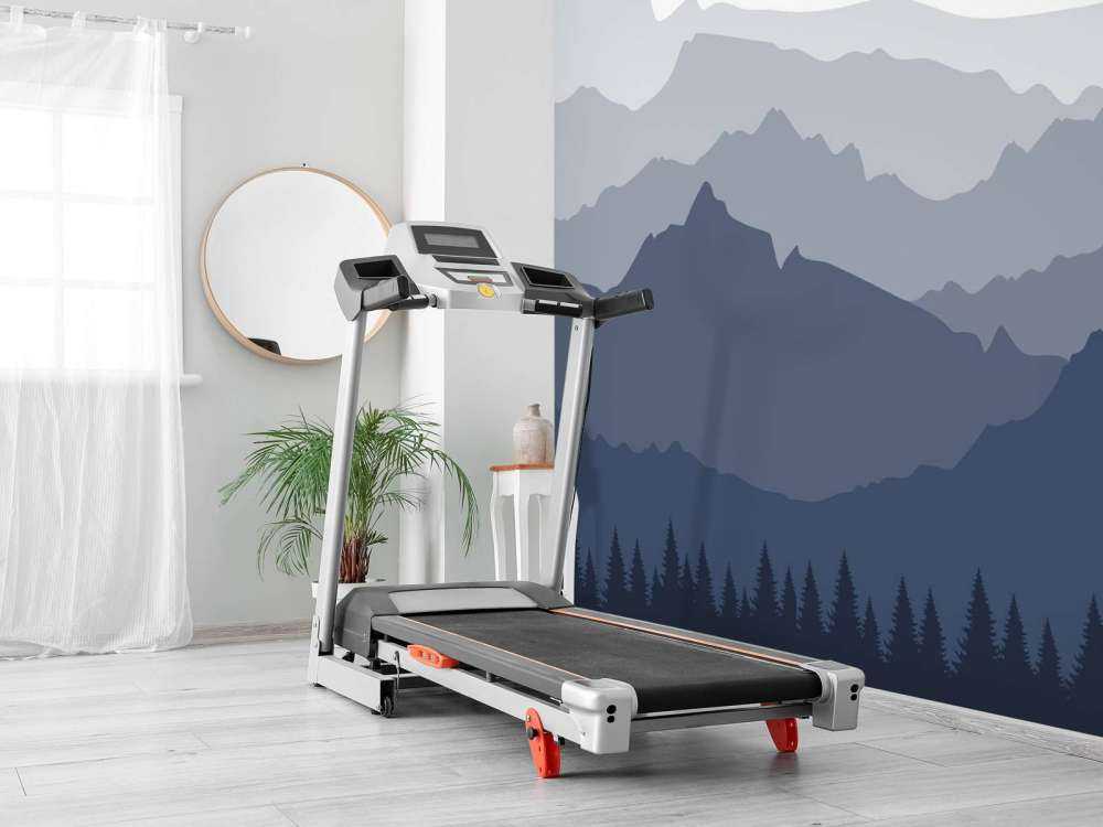 Donkere bergen met sparrenbos