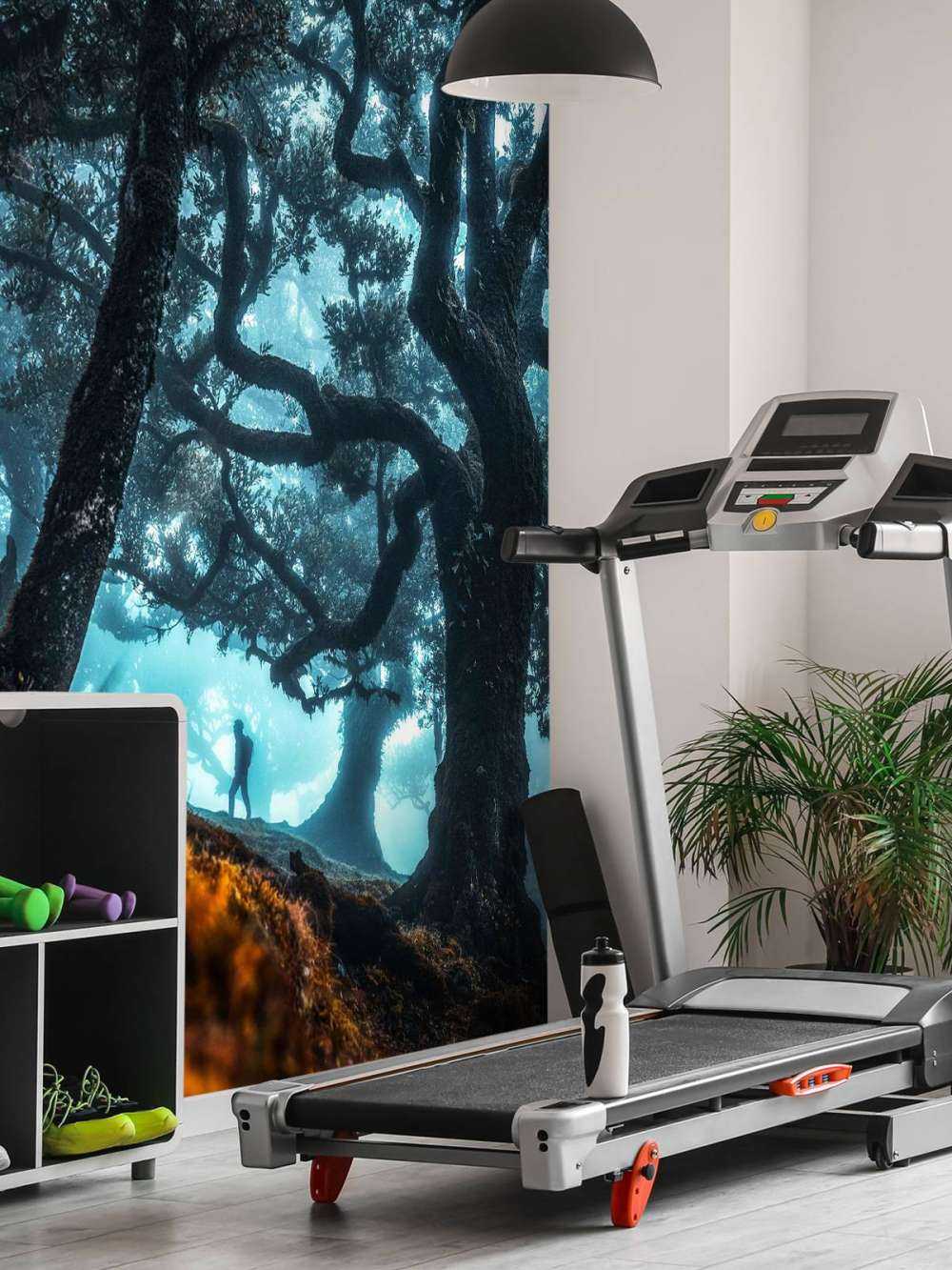 Mystiek silhouet in nevelwoud