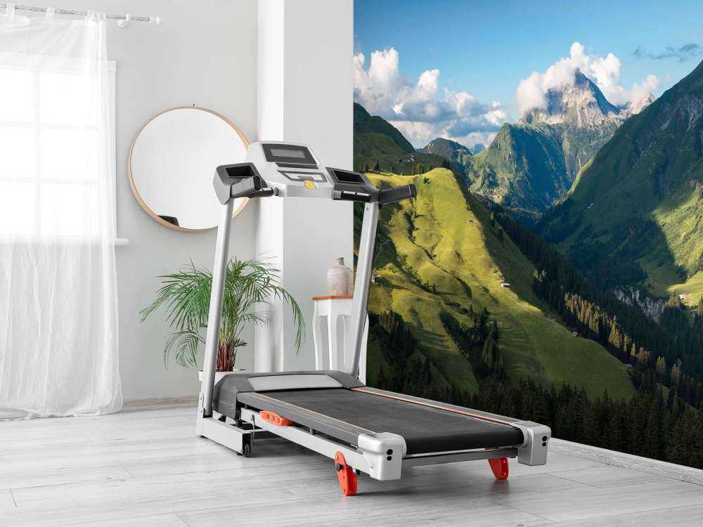 Zomerlicht over groene alpenvallei