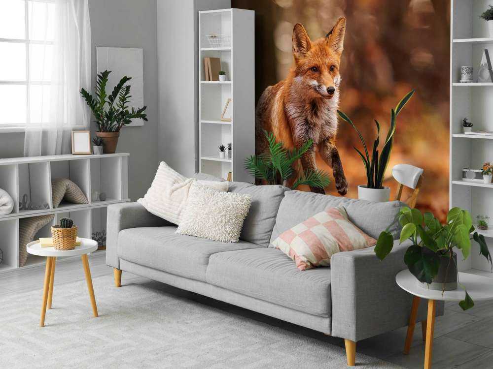 Herfstvlucht Vossenstreken