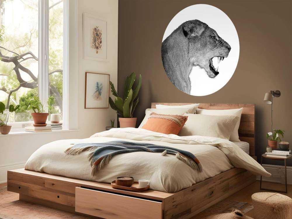 Lioness side view white