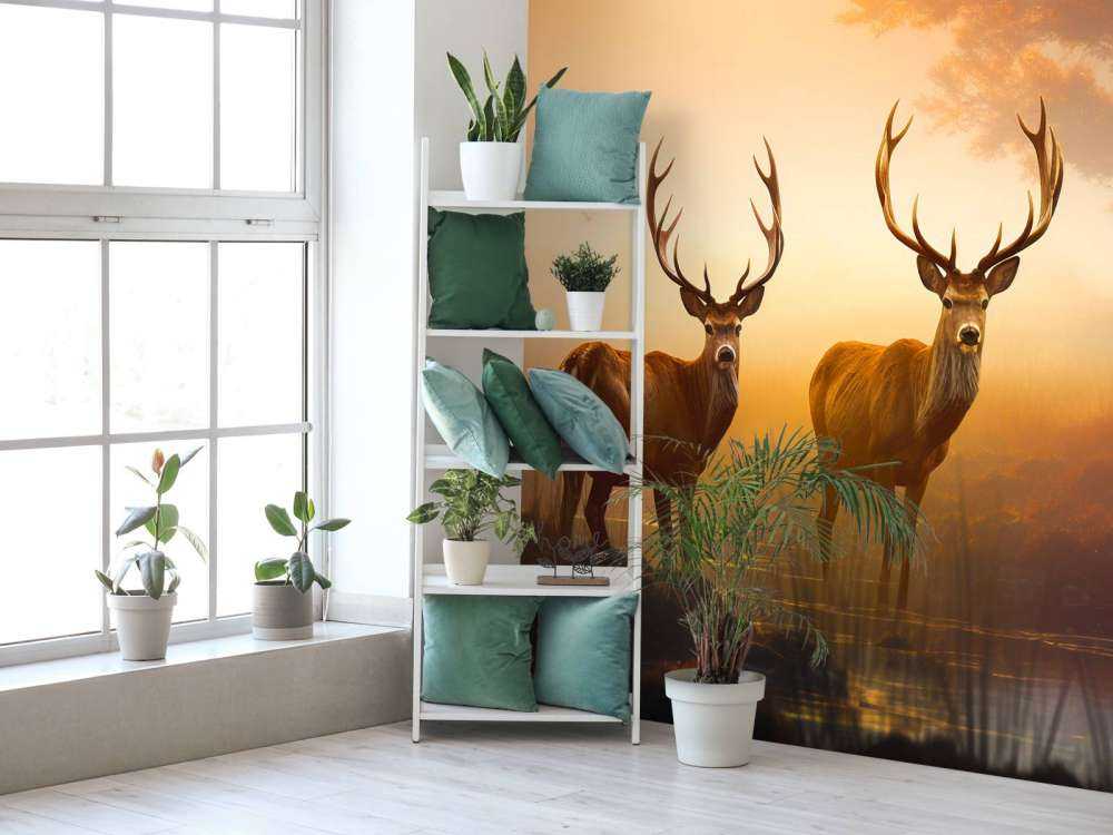 Ochtendglorie Hertenpracht