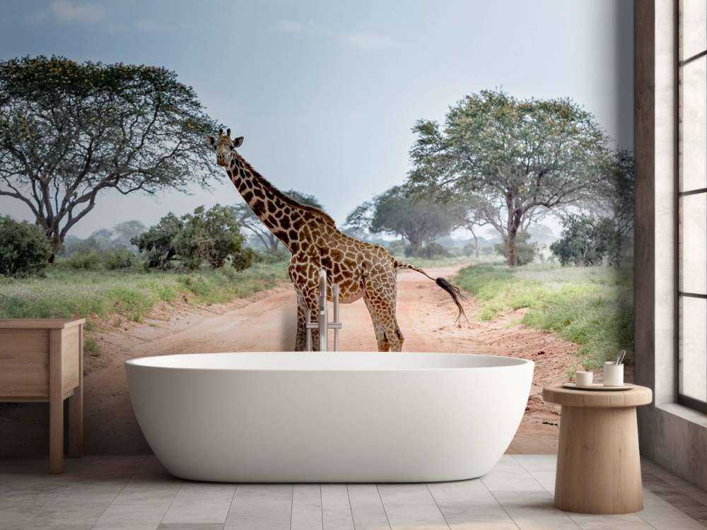 Verbaasde giraffe