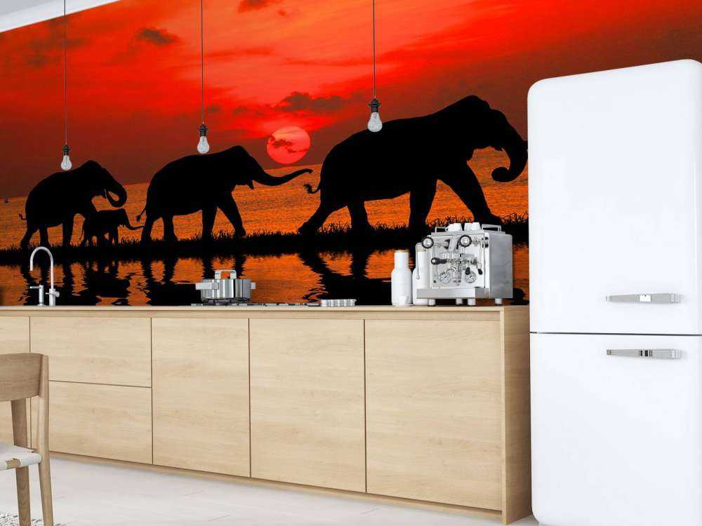 Olifanten en zonsondergang