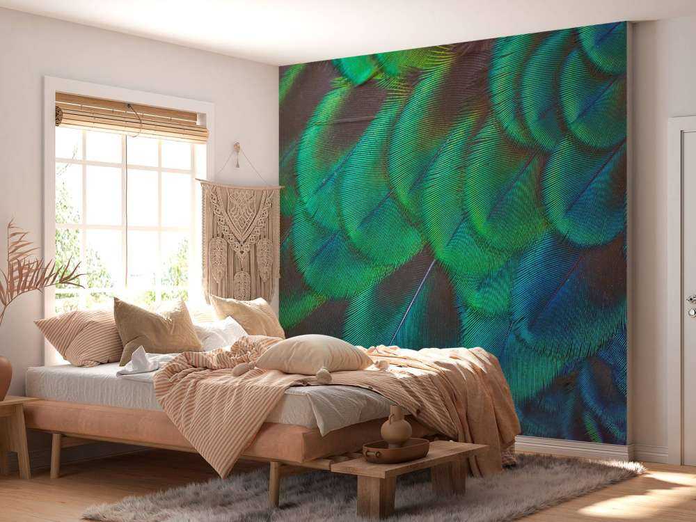 Close-up van pauwenveren