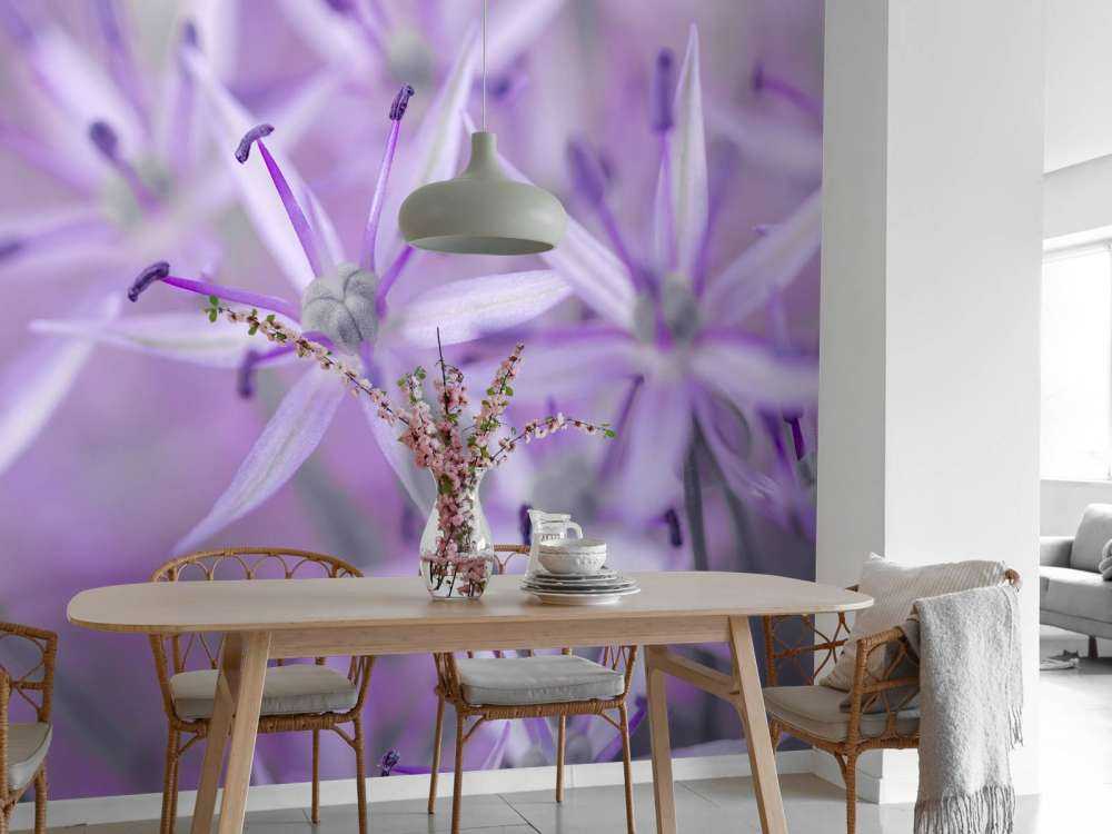 Paarse allium bloemen