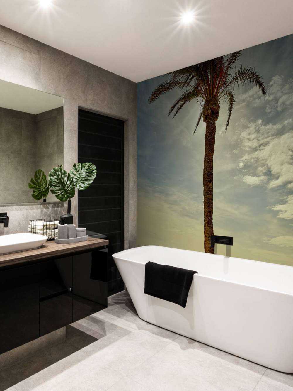 Palmboom in de zon
