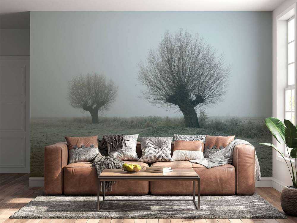 Knotwilgen in de mist