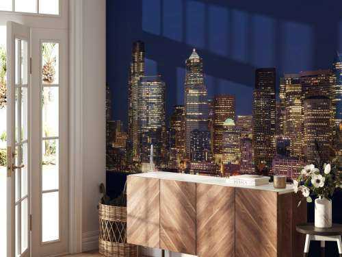 Skyline Seattle