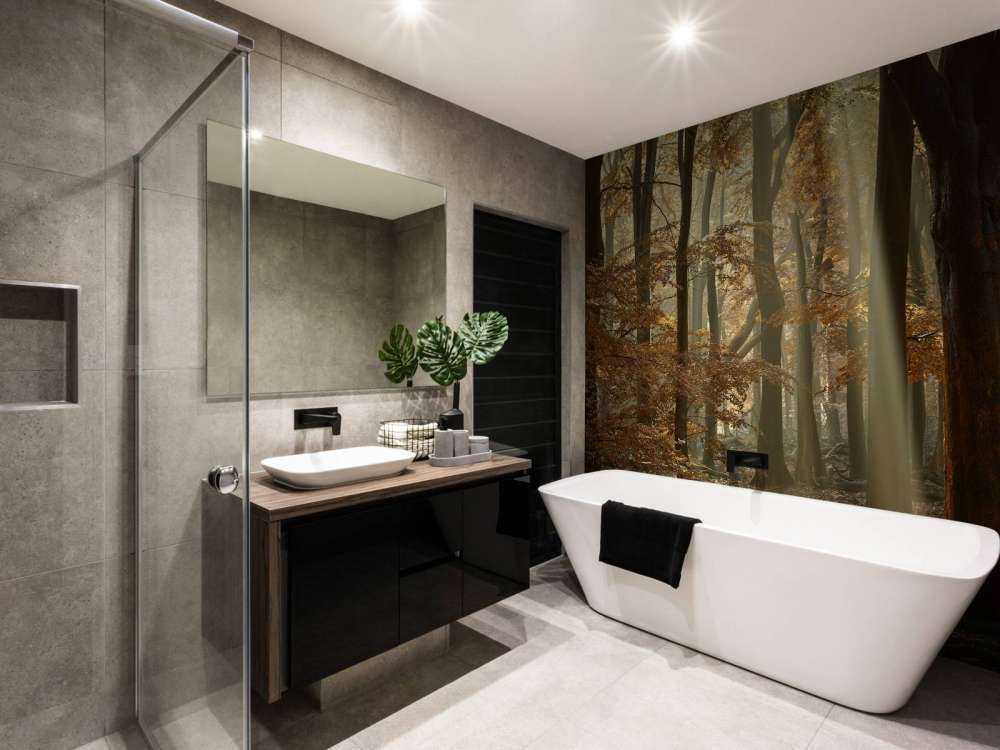 Herfstkleuren in het bos