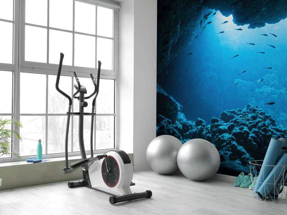 Onderwater grot met vissen