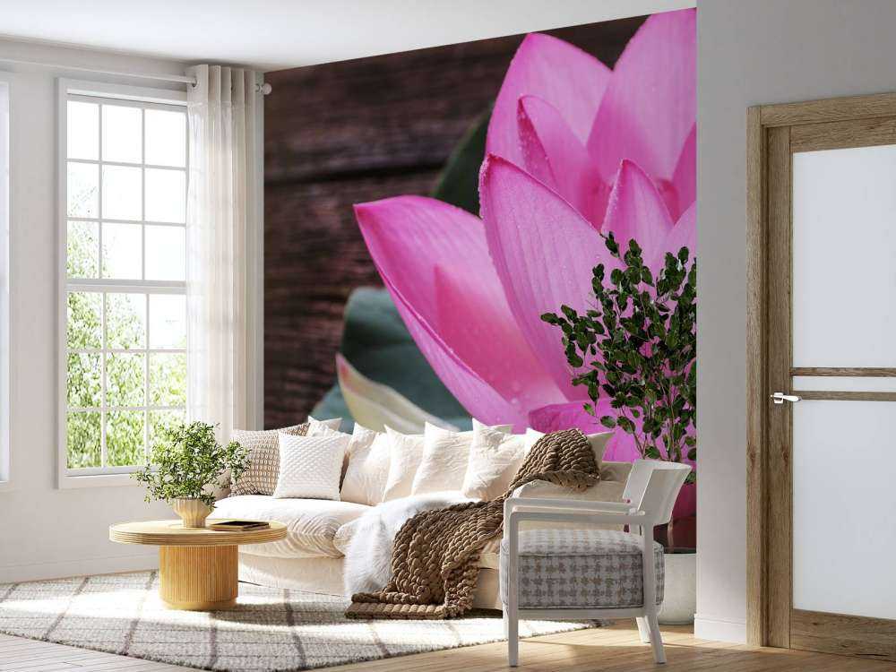 Close-up roze lotus