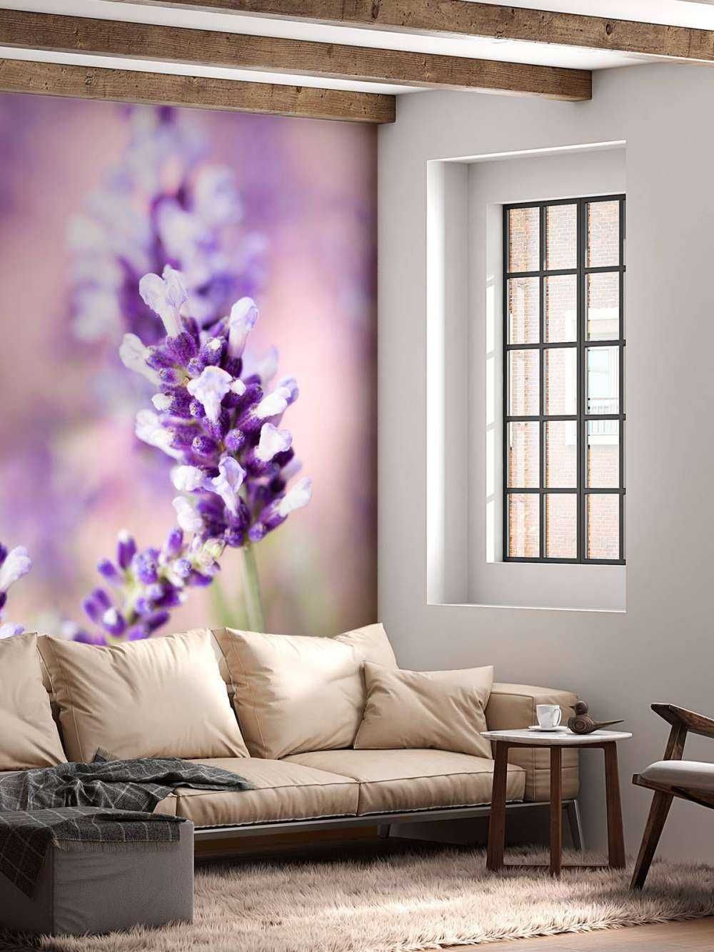 Lavendel bloem
