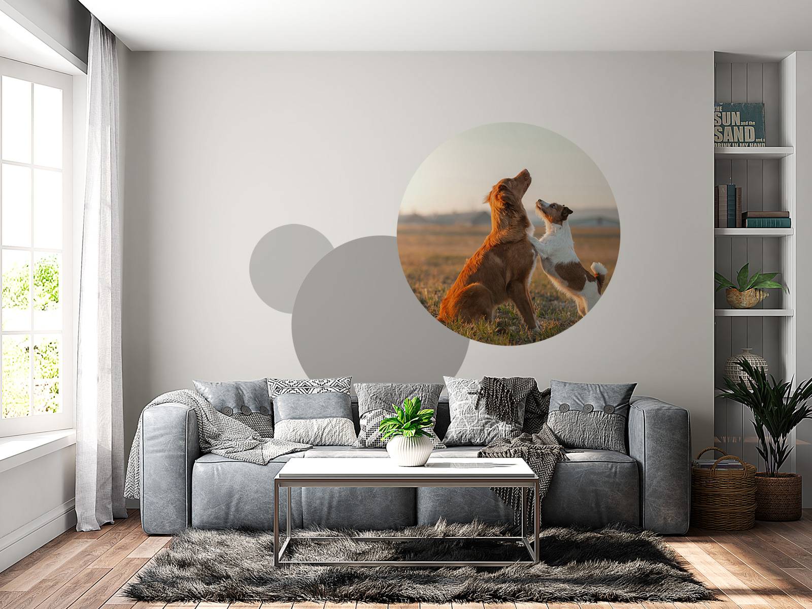 Omhoog kijkende honden