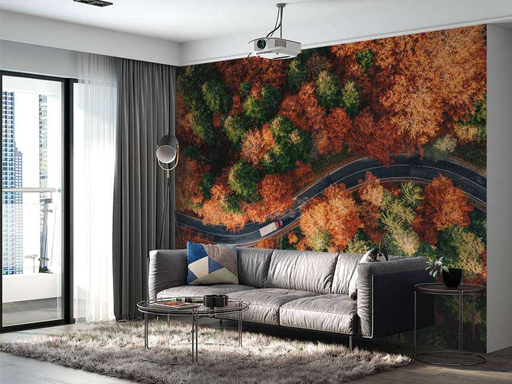 Kronkelende weg met truck