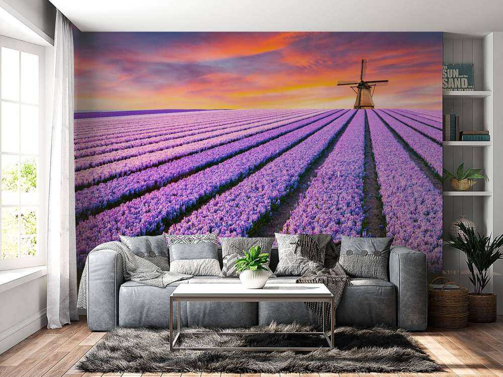 Blauwe druifjes
