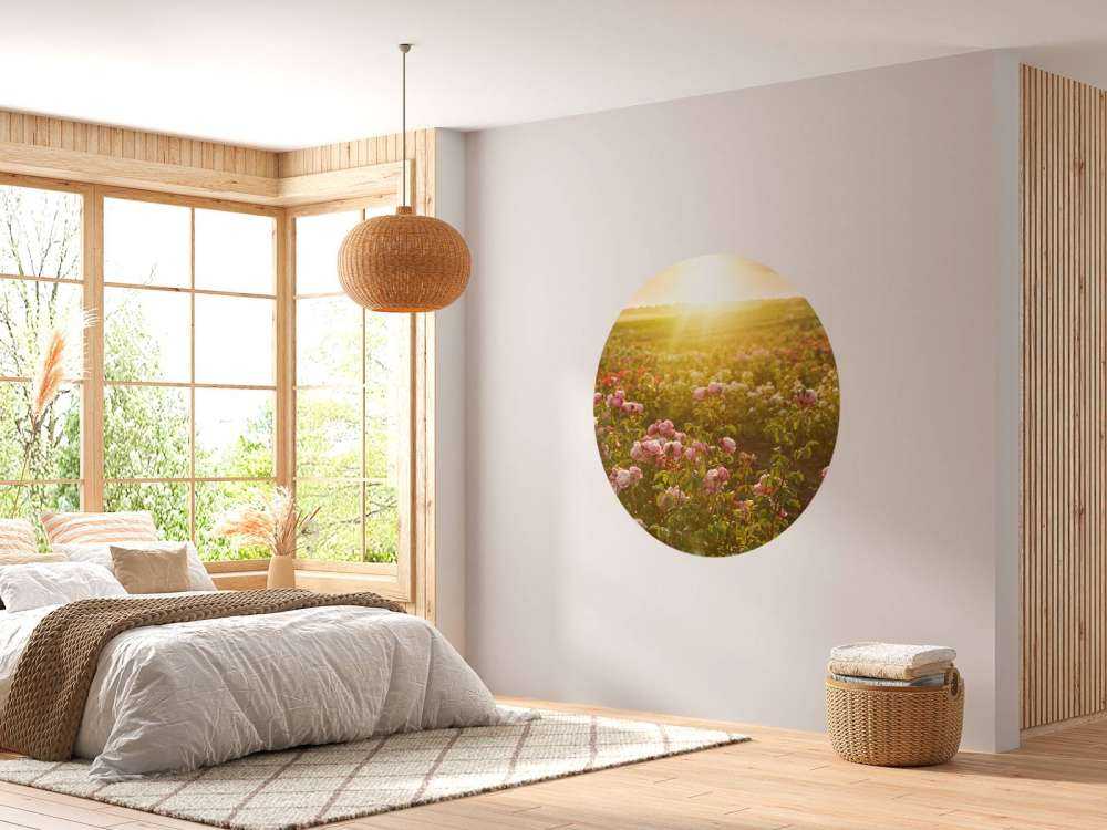 Veld vol rozen