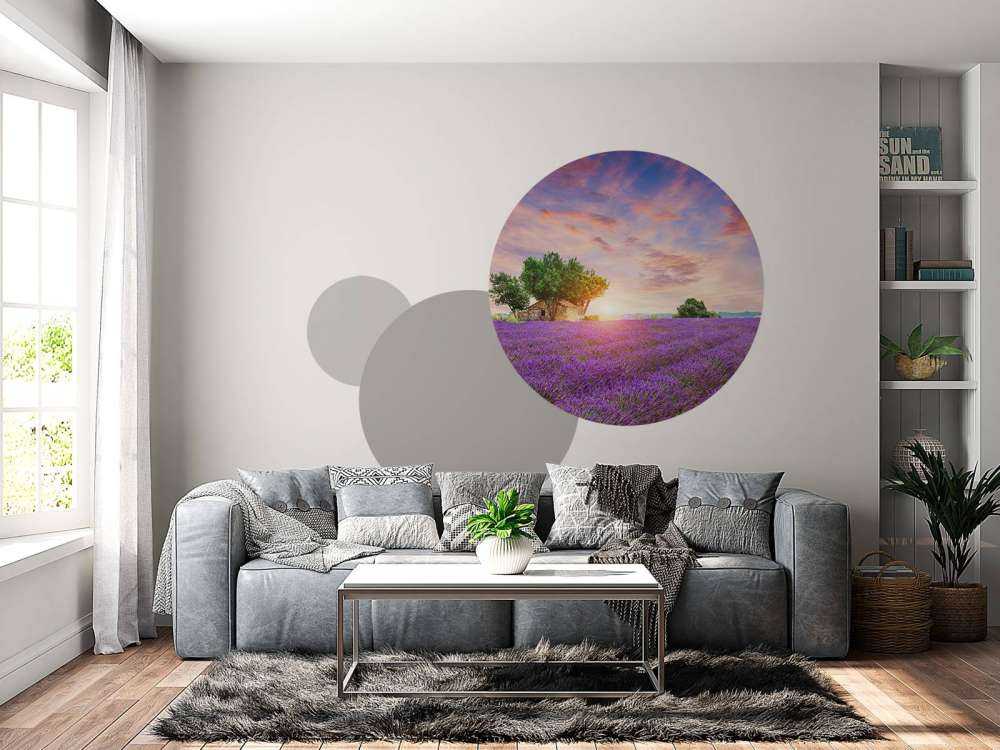 Lavendelveld tijdens zonsopkomst