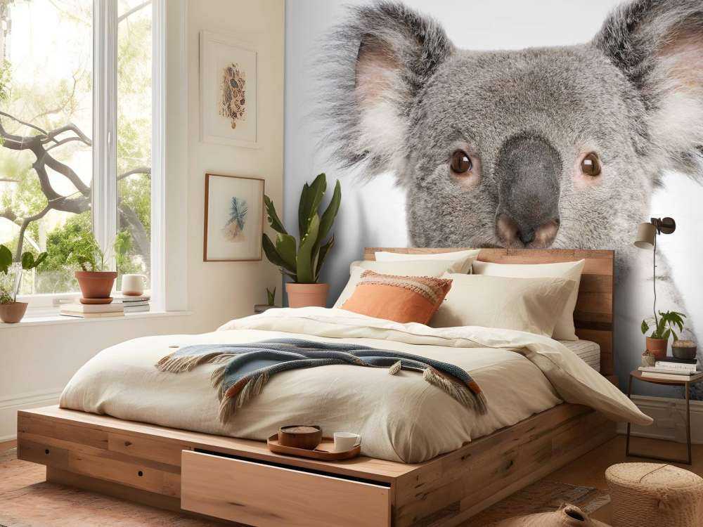 Foto van een koala