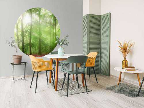 Groen bos panorama