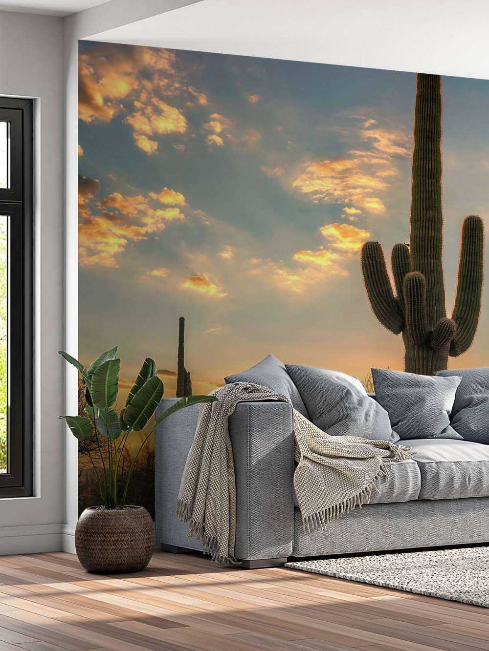 Cactus met zonsondergang