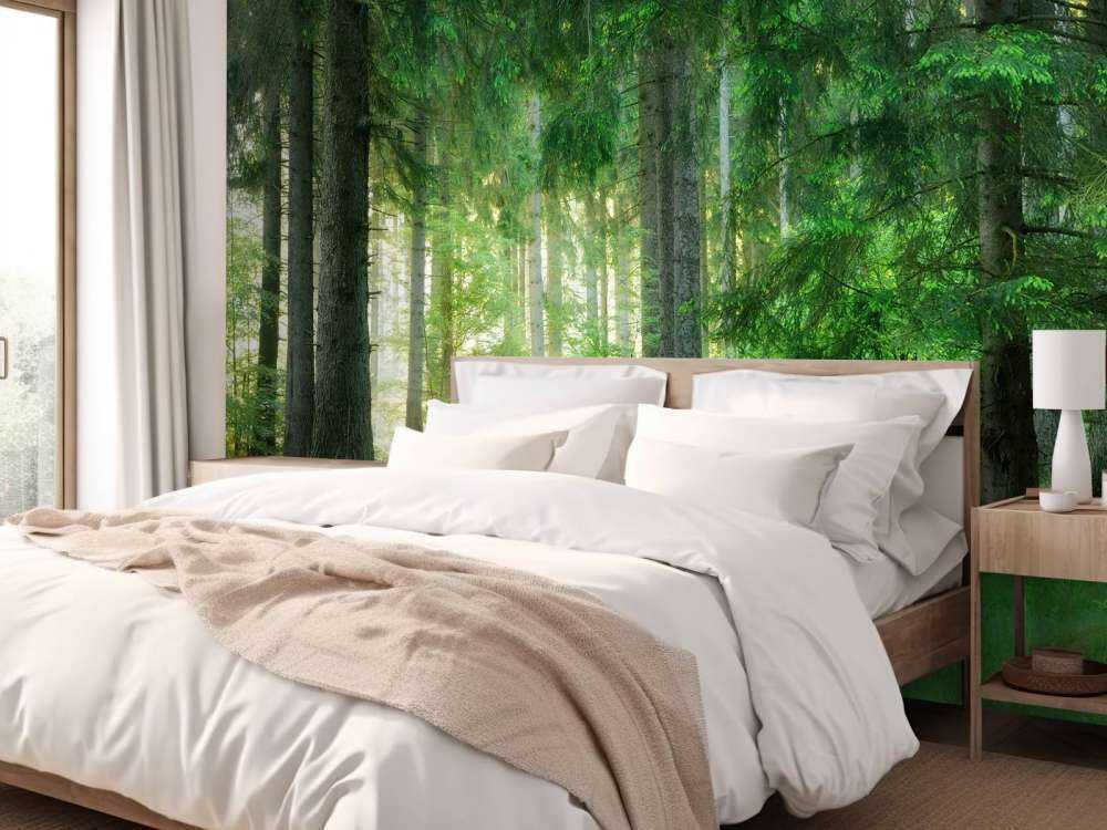 Groen naaldbomen bos