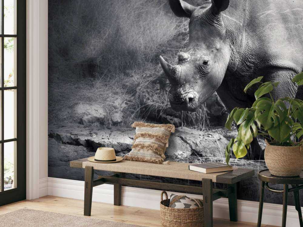 Neushoorn