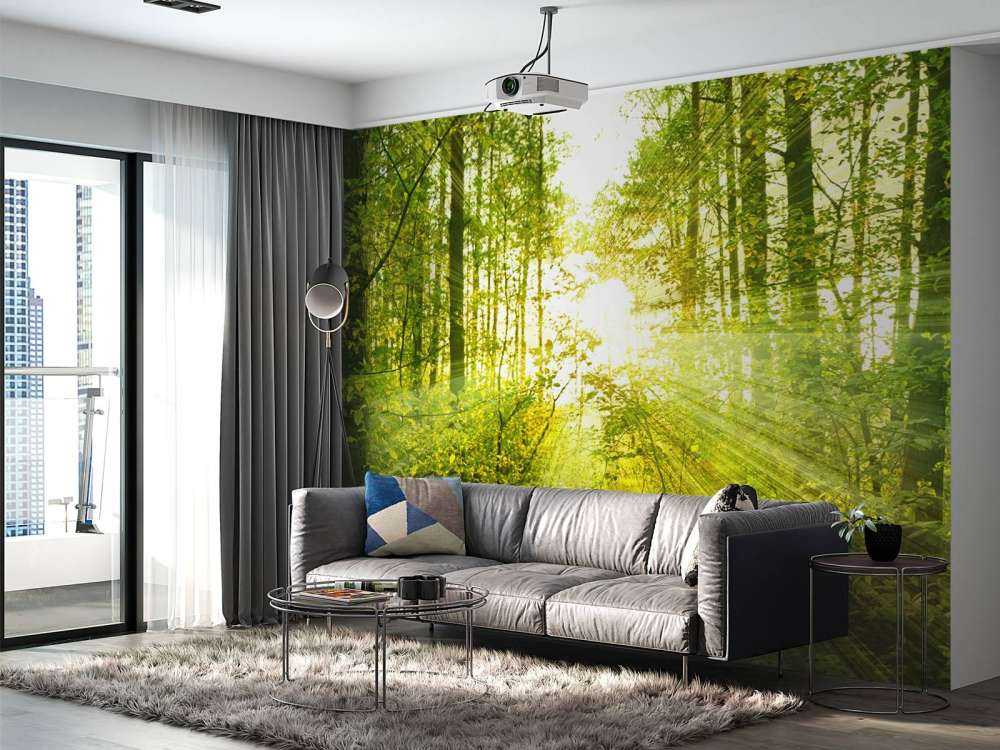 Zonnestralen in een groen bos