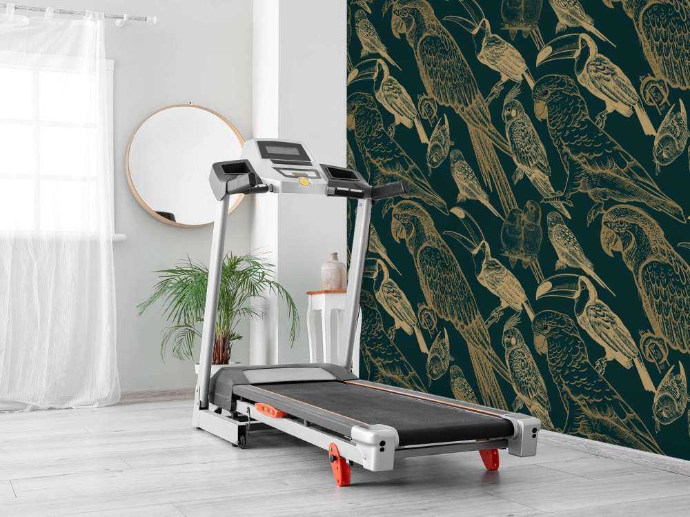 Papegaai en Toekan patroon