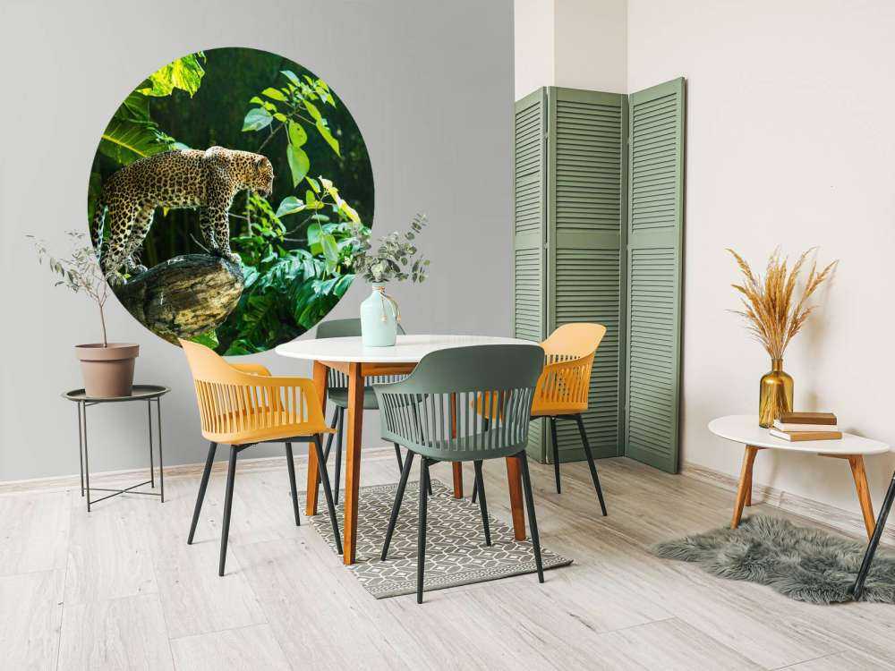 Luipaard op een rotswand