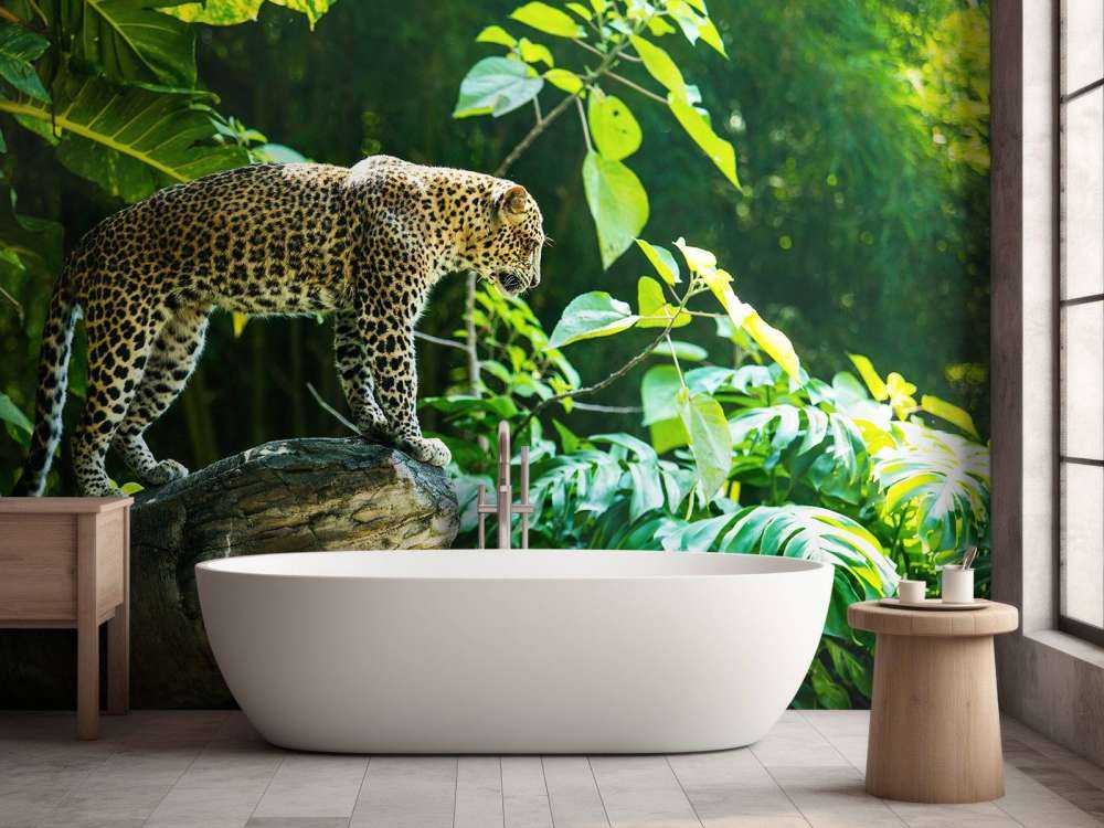 Luipaard op een rotswand