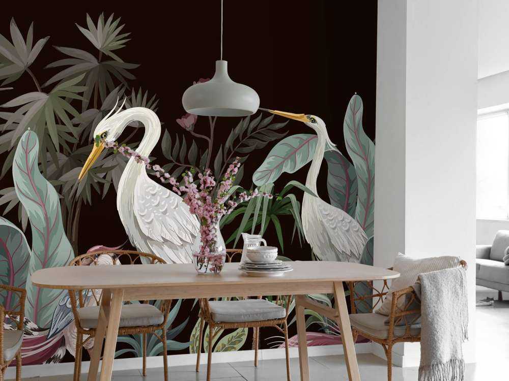 Sierlijke kraanvogels