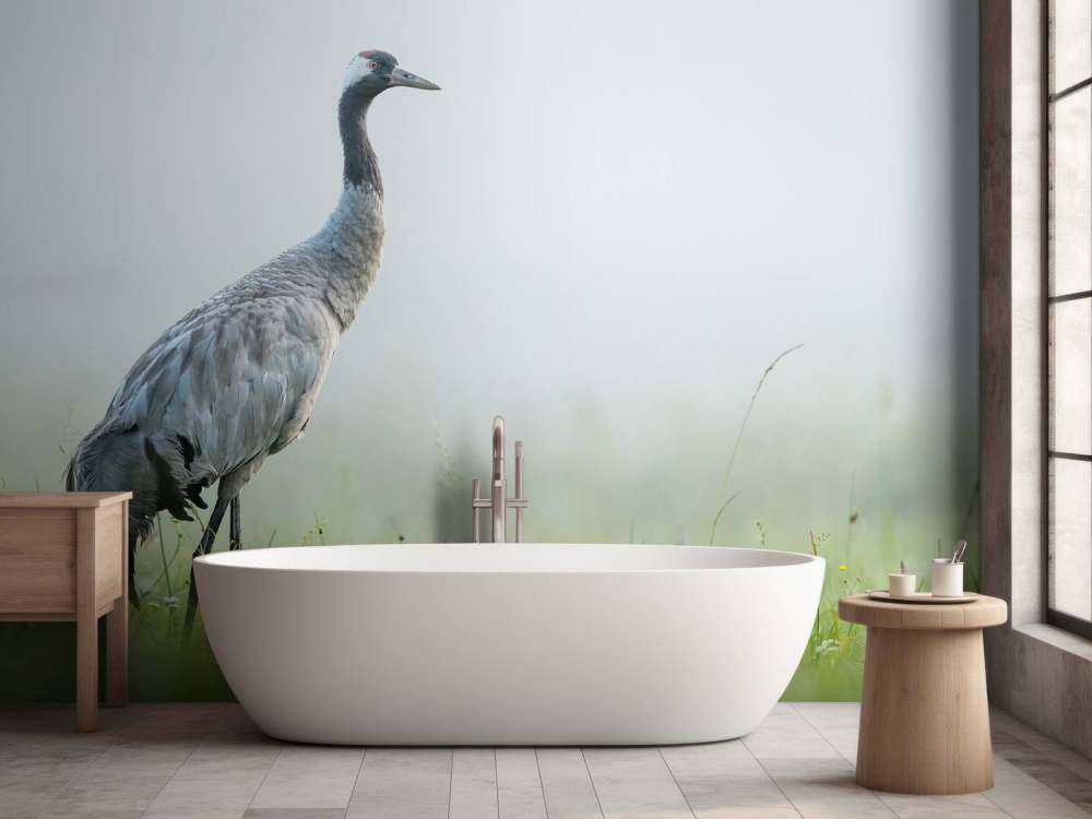 Kraanvogel in de ochtendmist