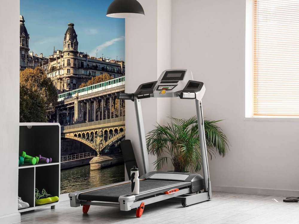 Klassieke stadspoort over de Seine