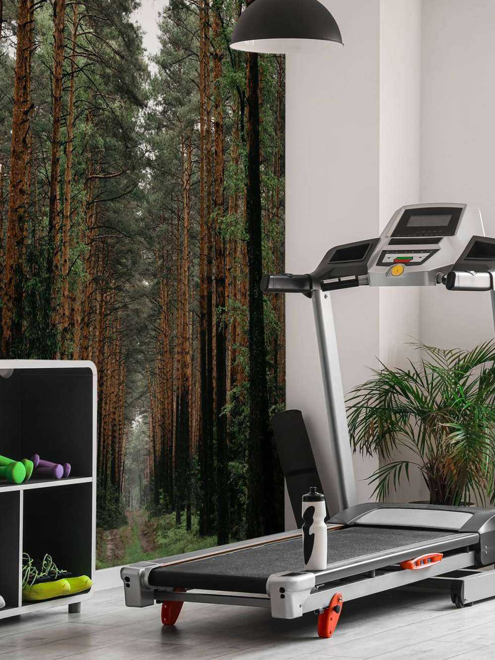 Symmetrie van het Woud