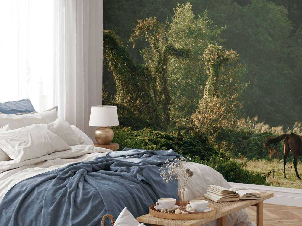 Paarden in het Betoverde Woud