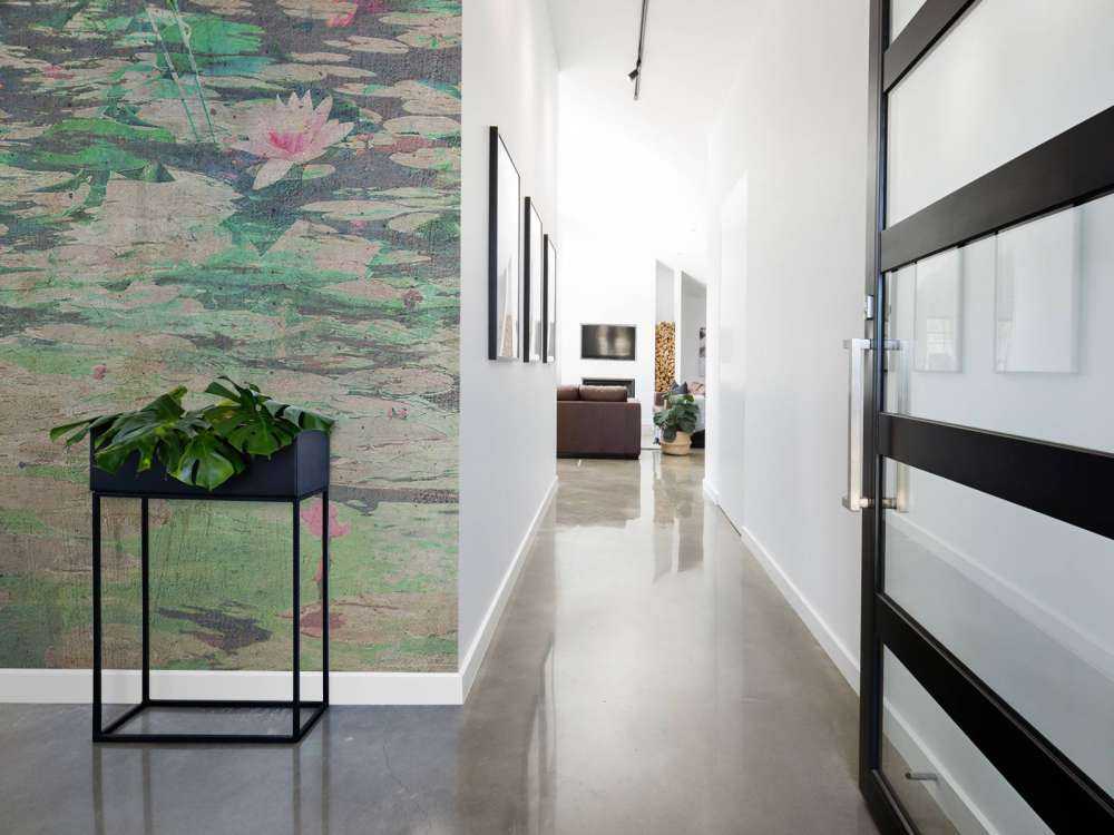 Waterlelies in vergrijsd vijverlicht