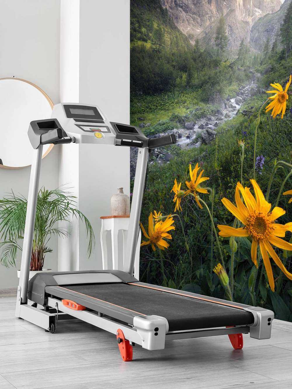 Gele Alpenbloemen in Bergvallei