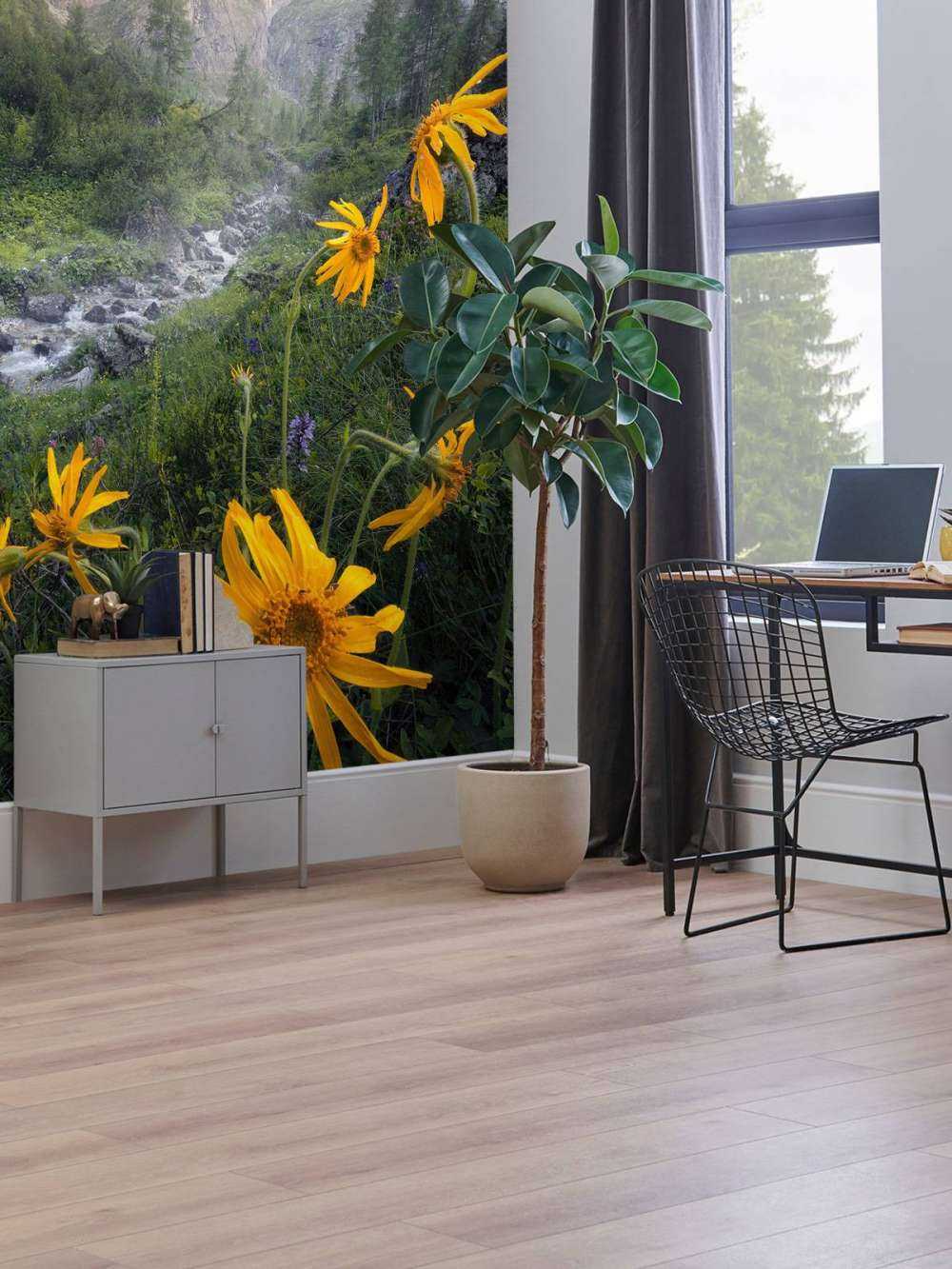 Gele Alpenbloemen in Bergvallei