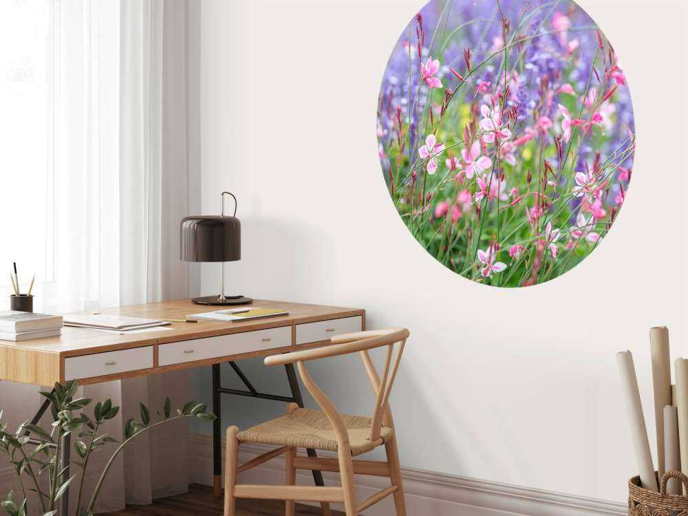 Yellow meadow flowers