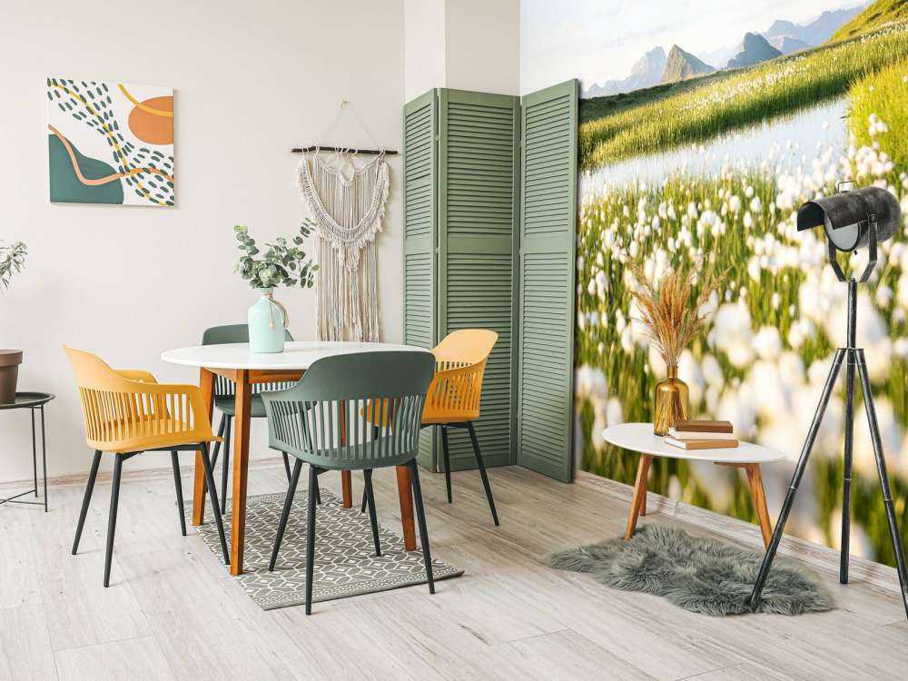 Zomerlicht over bloemrijk veenlandschap