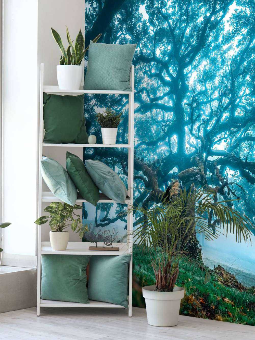 Oude eik in nevelwoud