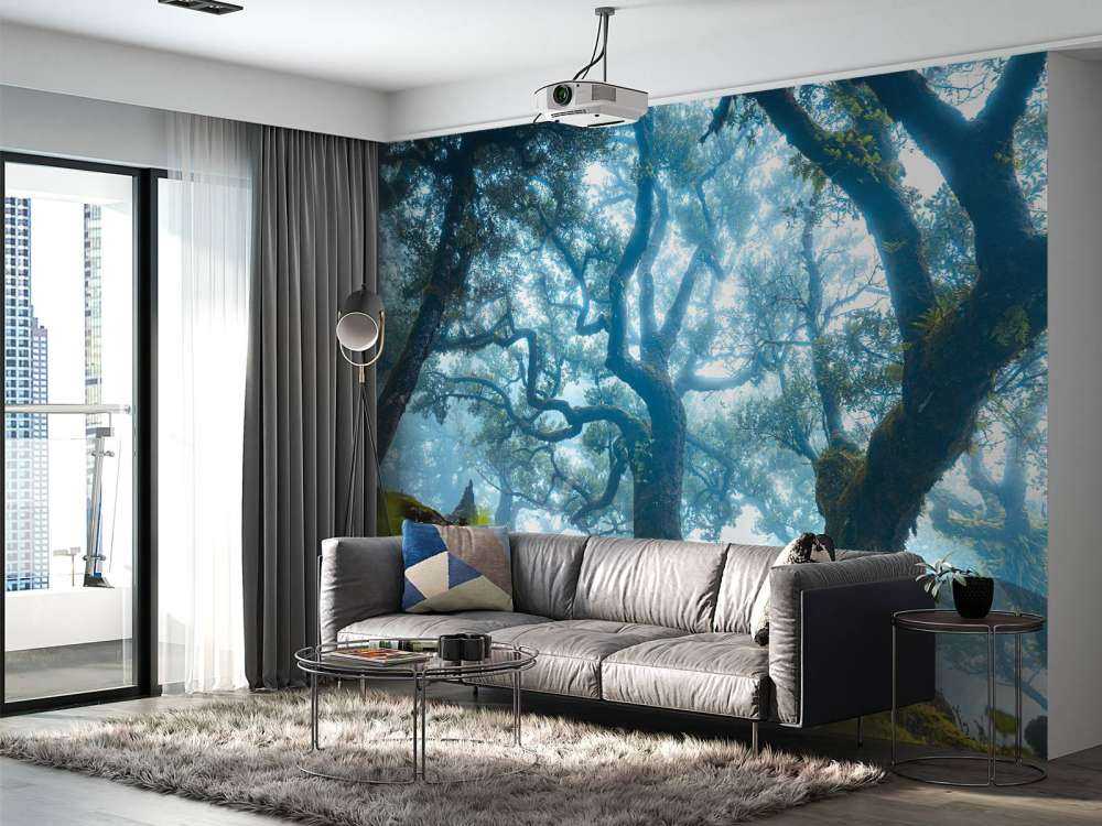 Sprookjesbos in ochtendmist