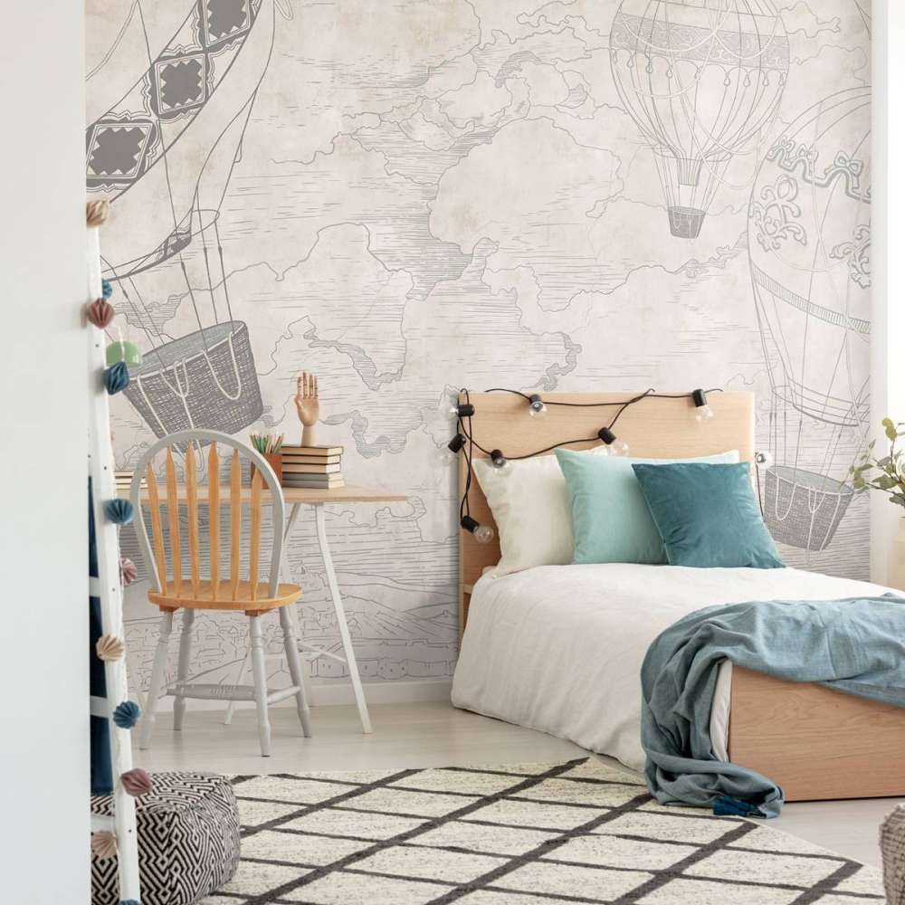 Luchtballonnen met een uitzicht