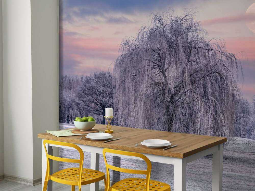 Boom bedekt met vorst