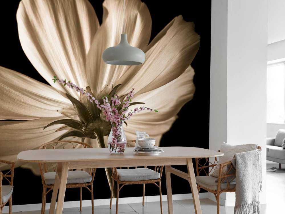 Cosmos bloem van onderen